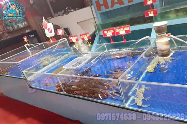 Chiller làm lạnh nước hồ cá