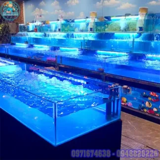 Máy Làm Mát Bể Cá Hồ Thủy Sinh, Bảo Vệ Cá Cảnh