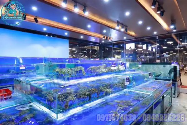 Giá máy làm lạnh nước hồ hải sản