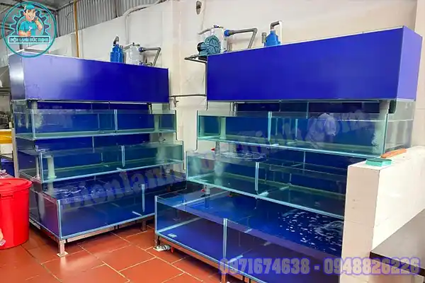 Cung Cấp Phân Phối Máy Làm Mát Bể Cá Tại Hà Nội Giá Rẻ2