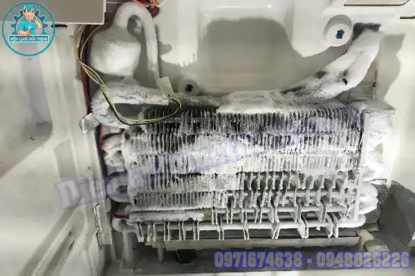 Sửa Tủ Lạnh Nội Địa Nhật Cầu Giấy