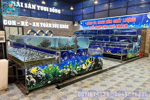Máy làm lạnh nước hồ cá mini
