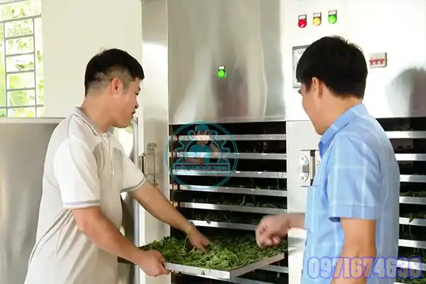 Lắp Đặt Máy Sấy Công Nghiệp Quảng Ninh | Thi Công Phòng Sấy