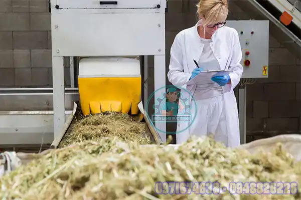 Lắp Đặt Phòng Sấy Dược Liệu Công Nghiệp