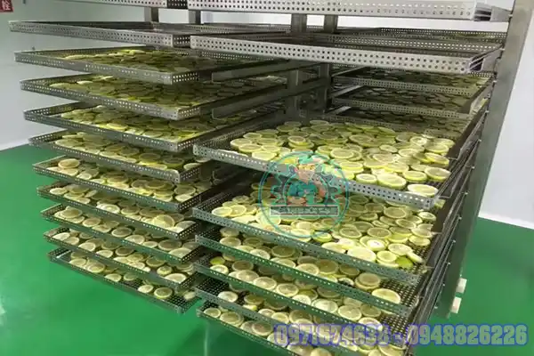 Máy sấy khô công nghiệp