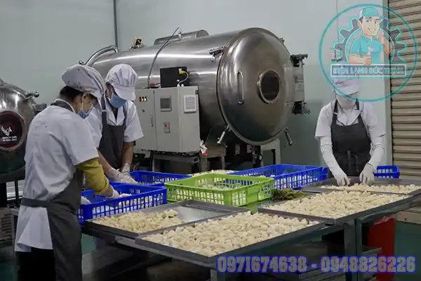 Lắp Đặt Phòng Sấy Lạnh Nông Sản