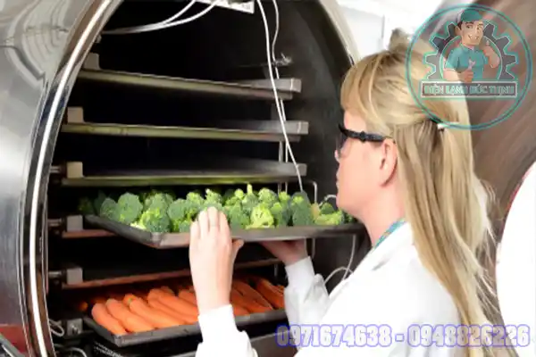 Máy sấy nông sản mini