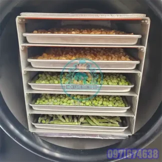 Lắp Đặt Phòng Sấy Lạnh Trái Cây Gia Tăng Giá Trị Nông Sản