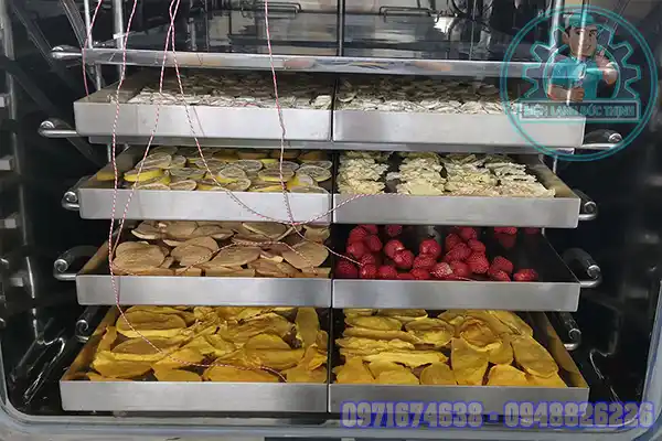 Máy sấy trái cây lạnh