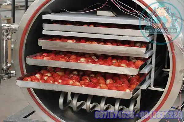 Giá máy sấy lạnh hoa quả