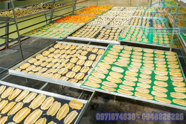 Lắp Đặt Phòng Sấy Nhiệt Trái Cây Nông Sản