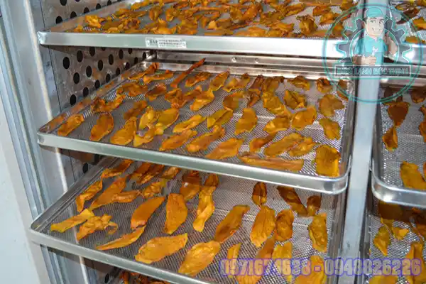 Lắp Đặt Phòng Sấy Nhiệt Trái Cây Nông Sản
