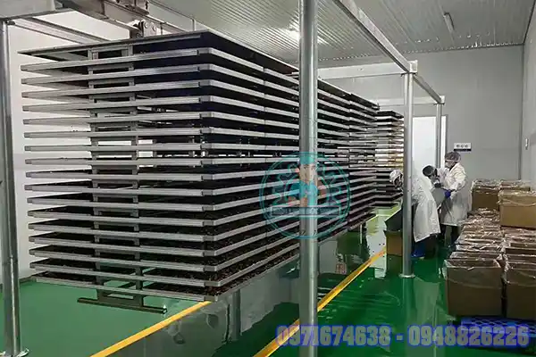 Sấy nhiệt độ bao nhiêu?