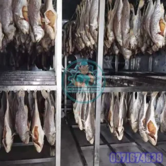 Máy Sấy Cá Khô | Phòng Sấy Nhiệt, Lạnh Cá Công Nghiệp