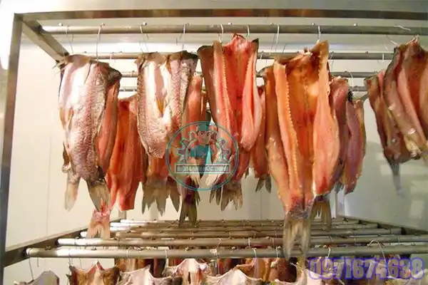 máy sấy cá công nghiệp
