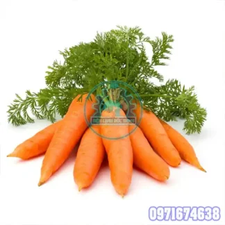 Máy Sấy Cà Rốt Công Nghiệp | Phòng Sấy Lạnh, Sấy Bơm Nhiệt