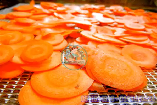 Máy Sấy Cà Rốt Công Nghiệp | Phòng Sấy Lạnh, Sấy Bơm Nhiệt