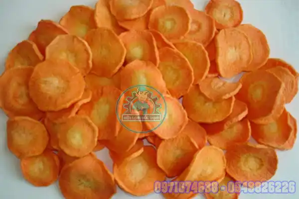 Máy sấy trái cây công nghiệp giá bao nhiêu?
