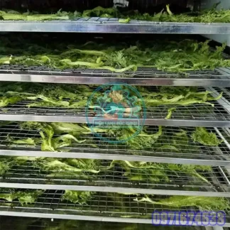 Máy Sấy Cải Bó Xôi Công Nghiệp | Thiết Kế Theo Yêu Cầu