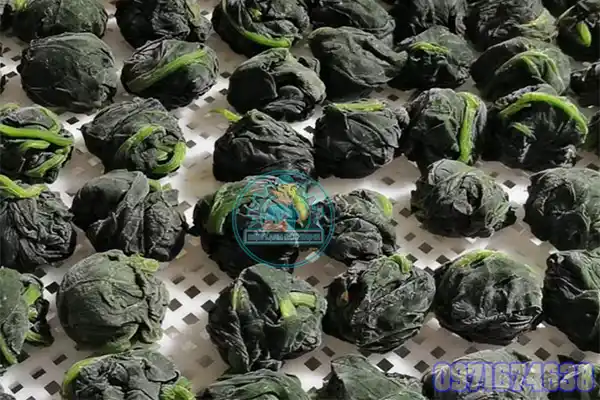 Máy Sấy Cải Bó Xôi Công Nghiệp | Thiết Kế Theo Yêu Cầu