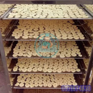Máy Sấy Chuối Công Nghiệp | Thiết Kế Phòng Sấy Theo Yêu Cầu