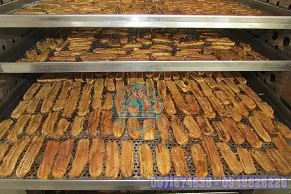 Máy sấy chuối giòn

