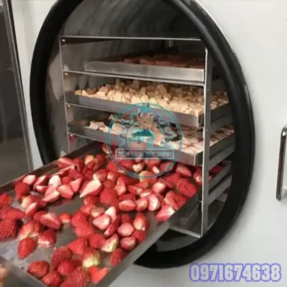 Máy Sấy Dâu Tây Công Nghiệp – Sấy Lạnh, Sấy Bơm Nhiệt