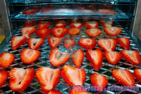 Máy Sấy Dâu Tây Công Nghiệp – Sấy Lạnh, Sấy Bơm Nhiệt