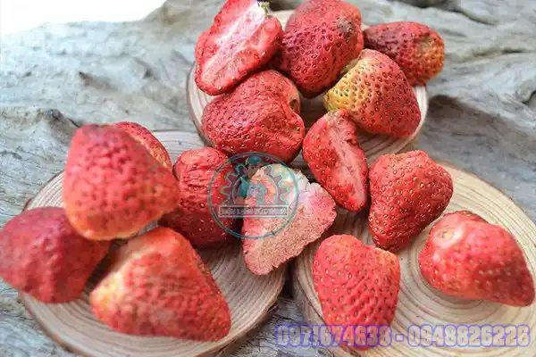 Máy Sấy Dâu Tây Công Nghiệp – Sấy Lạnh, Sấy Bơm Nhiệt