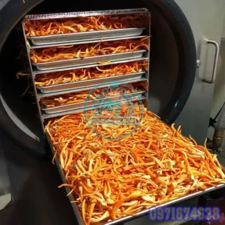 Máy Sấy Đông Trùng Hạ Thảo Công Nghiệp | Phòng Sấy Dược Liệu