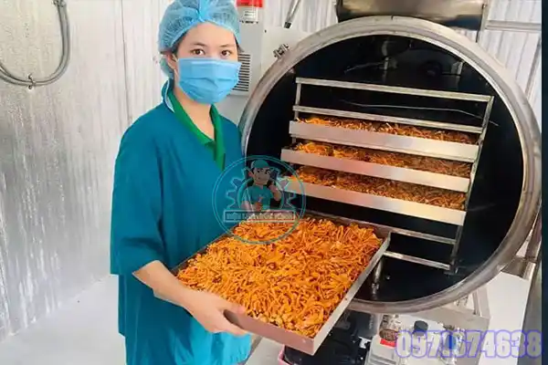 Máy Sấy Đông Trùng Hạ Thảo Công Nghiệp | Phòng Sấy Chuẩn Kỹ Thuật