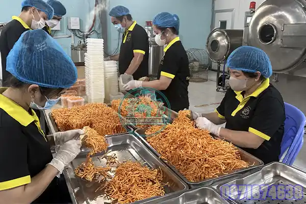 Máy Sấy Đông Trùng Hạ Thảo Công Nghiệp | Phòng Sấy Chuẩn Kỹ Thuật