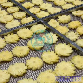Máy Sấy Dứa Công Nghiệp – Công Nghệ Sấy Lạnh, Bơm Nhiệt