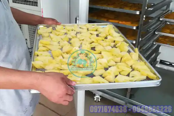 Máy Sấy Dứa Công Nghiệp – Công Nghệ Sấy Lạnh, Nhiệt, Bơm Nhiệt