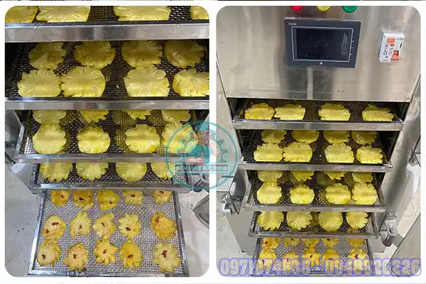 Máy Sấy Dứa Công Nghiệp – Công Nghệ Sấy Lạnh, Nhiệt, Bơm Nhiệt