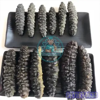 Máy Sấy Hải Sâm | Phòng Sấy Lạnh – Heat Pump – Công Nghiệp