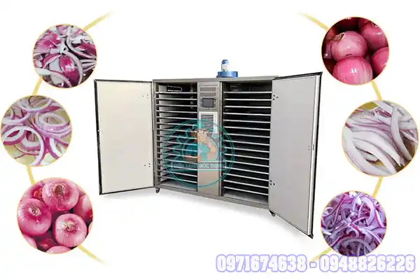 Máy Sấy Hành Công Nghiệp | Phòng Sấy Lạnh, Sấy Bơm Nhiệt