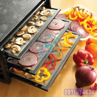 Máy Sấy Hành Tây Công Nghiệp | Lắp Đặt Phòng Sấy Toàn Quốc