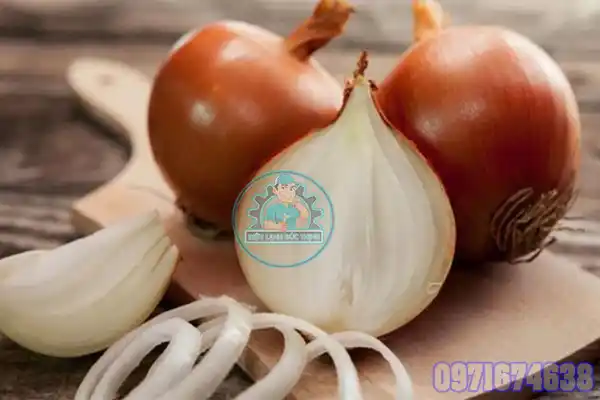 Máy Sấy Hành Tây Công Nghiệp | Lắp Đặt Phòng Sấy Toàn Quốc