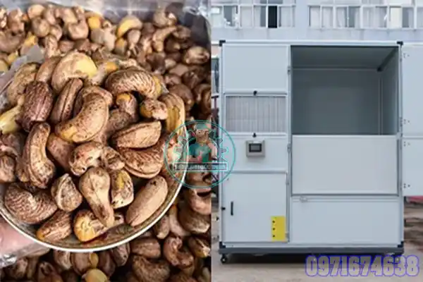 Máy Sấy Hạt Điều Công Nghiệp | Phòng Sấy 1–10 Tấn, Toàn Quốc