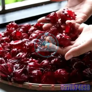 Máy Sấy Hoa Atiso Công Nghiệp | Phòng Sấy Dược Liệu 1–10 Tấn