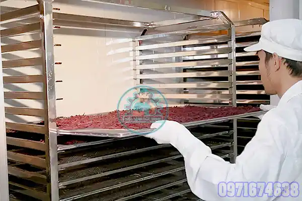 Máy Sấy Hoa Atiso Công Nghiệp | Phòng Sấy Dược Liệu 1–10 Tấn