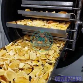 Máy Sấy Mít Công Nghiệp – Phòng Sấy Mít Theo Yêu Cầu