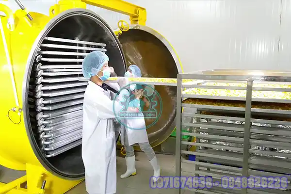 Máy sấy mít chân không
