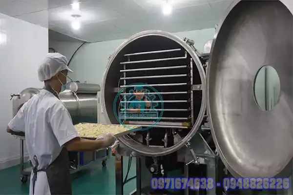 Máy sấy mít thăng hoa
