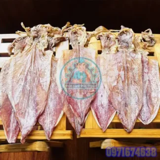 Máy Sấy Mực Khô | Phòng Sấy Lạnh – Heat Pump – Công Nghiệp