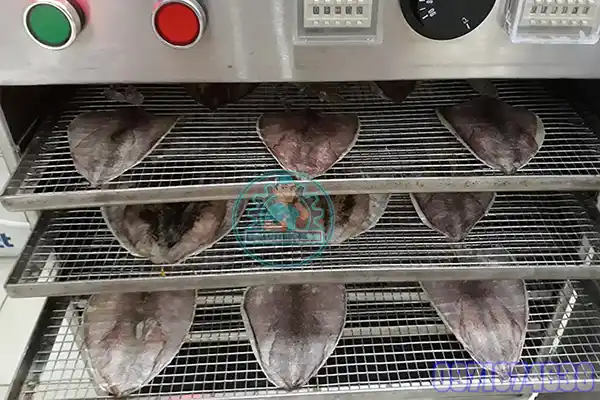 Máy sấy công nghiệp công suất lớn
