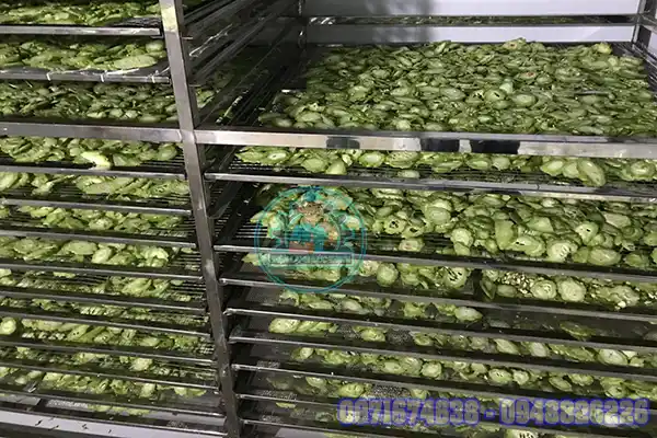 Máy Sấy Mướp Đắng Công Nghiệp Thiết Kế Theo Yêu Cầu