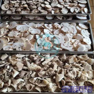 Máy Sấy Nấm Đông Cô | Phòng Sấy Nấm Hương Công Nghiệp