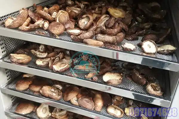Máy Sấy Nấm Đông Cô | Phòng Sấy Nấm Hương Công Nghiệp